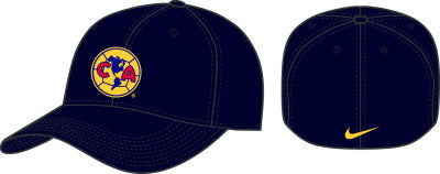 Nike America Swoosh Flex Cap